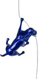 Ancizar Marin - "Climber Dog 01"