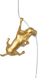 Ancizar Marin - "Climber Dog 01"