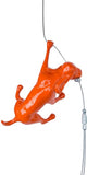 Ancizar Marin - "Climber Dog 01"