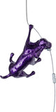 Ancizar Marin - "Climber Dog 01"