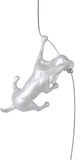 Ancizar Marin - "Climber Dog 01"