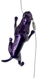 Ancizar Marin - "Climber Dog 02"