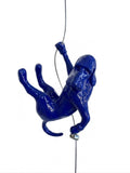 Ancizar Marin - "Climber Dog 03"