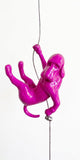 Ancizar Marin - "Climber Dog 03"