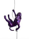 Ancizar Marin - "Climber Dog 03"