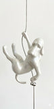 Ancizar Marin - "Climber Dog 03"