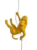 Ancizar Marin - "Climber Dog 03"