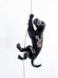 Ancizar Marin - "Climber Dog 04"