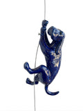 Ancizar Marin - "Climber Dog 04"