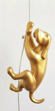 Ancizar Marin - "Climber Dog 04"
