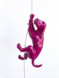 Ancizar Marin - "Climber Dog 04"