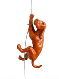 Ancizar Marin - "Climber Dog 04"
