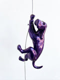 Ancizar Marin - "Climber Dog 04"