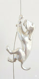 Ancizar Marin - "Climber Dog 04"