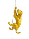 Ancizar Marin - "Climber Dog 04"