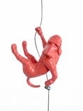 Ancizar Marin - "Climber Dog 03"