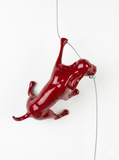 Ancizar Marin - "Climber Dog 01"