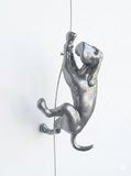 Ancizar Marin - "Climber Dog 04"