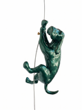 Ancizar Marin - "Climber Dog 04"