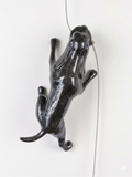 Ancizar Marin - "Climber Dog 02"