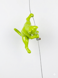 Ancizar Marin - "Climber Cat 03"