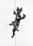 Ancizar Marin - "Climber Cat 02"