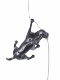 Ancizar Marin - "Climber Dog 01"