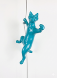 Ancizar Marin - "Climber Cat 02"