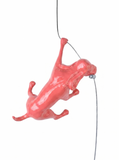 Ancizar Marin - "Climber Dog 01"