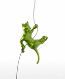 Ancizar Marin - "Climber Cat 05"
