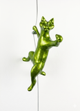 Ancizar Marin - "Climber Cat 02"