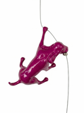 Ancizar Marin - "Climber Dog 01"