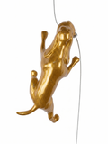 Ancizar Marin - "Climber Dog 02"