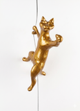 Ancizar Marin - "Climber Cat 02"