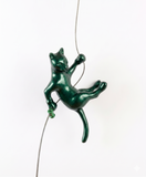 Ancizar Marin - "Climber Cat 05"