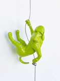 Ancizar Marin - "Climber Dog 03"