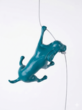 Ancizar Marin - "Climber Dog 01"