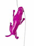 Ancizar Marin - "Climber Dog 02"