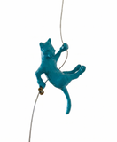 Ancizar Marin - "Climber Cat 05"