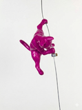 Ancizar Marin - "Climber Cat 03"