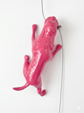 Ancizar Marin - "Climber Dog 02"