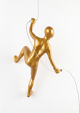 Ancizar Marin - "Climber 29"