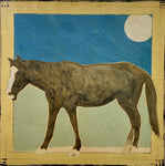 Michael Swearngin - "Roaming Navajo Horse - 1634"