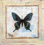 Judith Monroe - "Butterfly Collection #5"