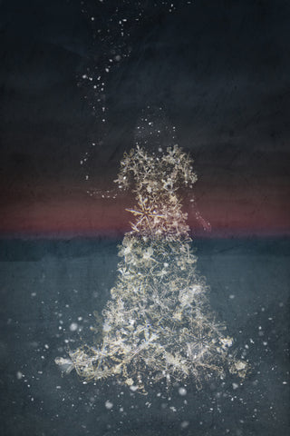 The Weight of a Snowflake - Photo Collage on Watercolor Paper Photography by artist Elisabeth Ladwig