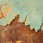 Cracked Earth -  Paintings by artist Josh Hirt