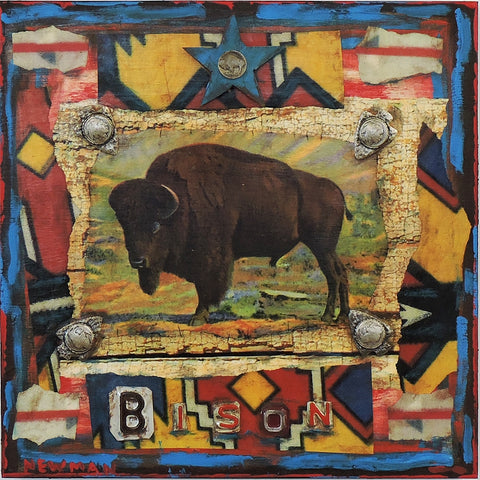Dave Newman - "Bison Series #9405"