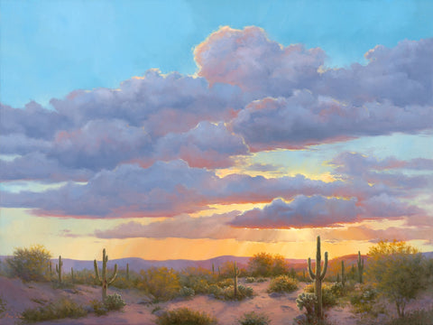 Sonoran Sun - oils Paintings by artist Lucy Dickens