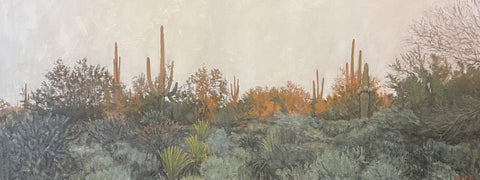 John Horejs - "Desert Evening Light "