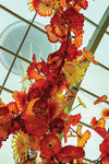 Glasshouse - Chihuly Garden & Glass - Photography on Metal  by artist Steve Berger